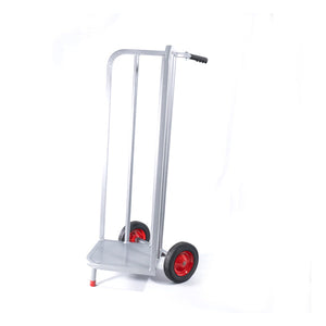 Raymond V-Shaped Book Cart