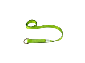 3333 lb TOW-100-WDR-I 2" x 100" TECNIC Webbing Lasso Strap