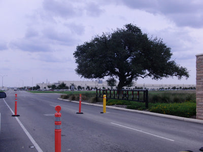 2009 exterior of the Toyota truck manufacturing campus in San Antonio — not the announced second assembly line