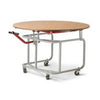 Raymond Standard 3
