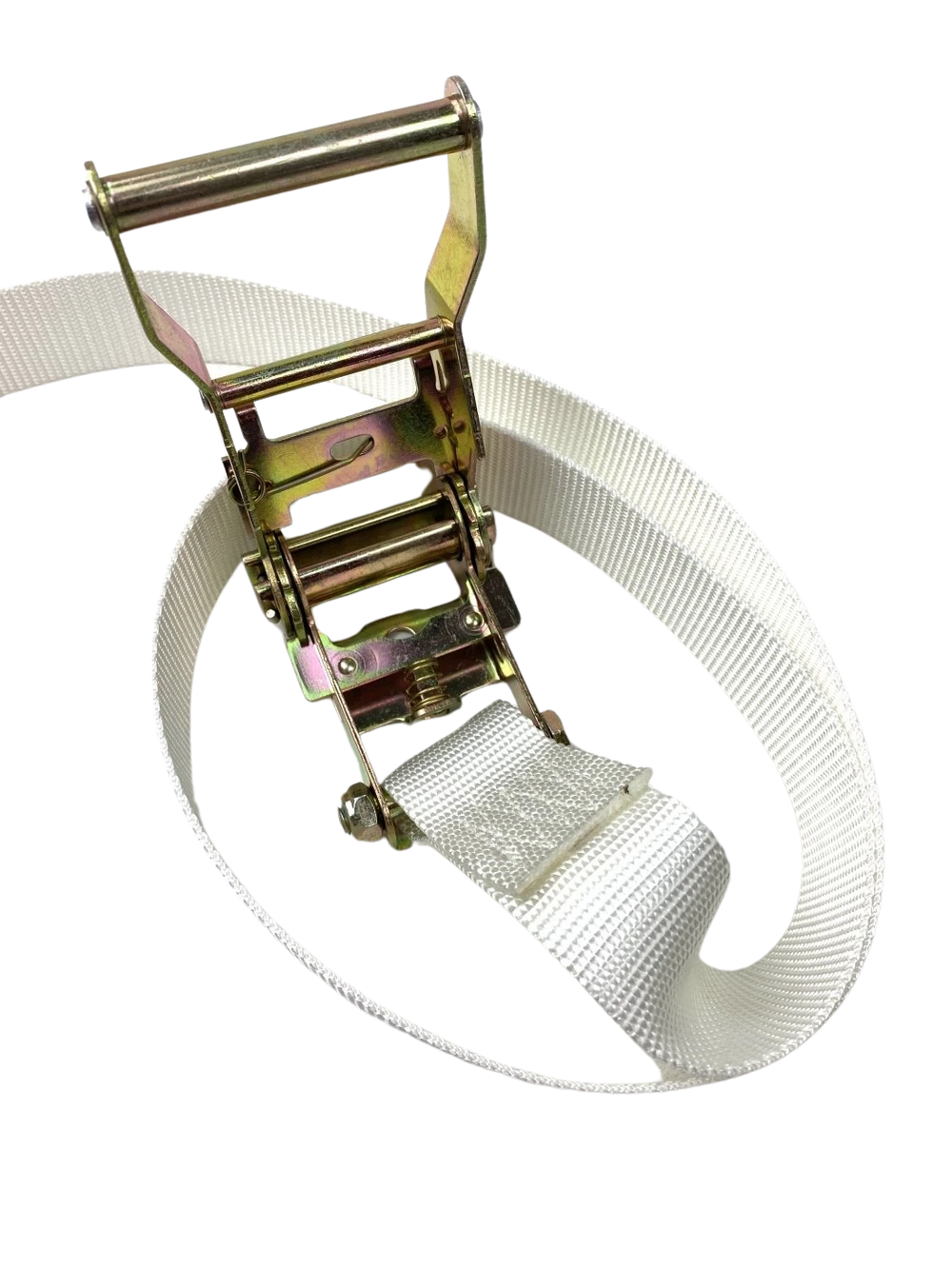 1.5" x 15' White Tent Ratchet Straps with Sewn Loops CasterHQ