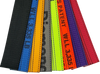 A-2X11RHOAIRCS-DW Heavy-Duty Wheel Strap – 2" x 10' with 3 Rubber Tread Grabs, 2000 lbs Load Capacity, Secure Ratchet Fastening SAFE 'N SECURE LLC