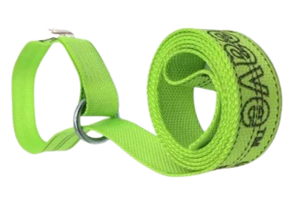 CT-2X10OR-DW Diamond Weave Lasso Strap with O-Ring, 2" x 10', 3,333 lbs Load Capacity SAFE 'N SECURE LLC