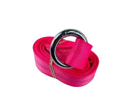 CT-2X10OR-DW Diamond Weave Lasso Strap with O-Ring, 2" x 10', 3,333 lbs Load Capacity SAFE 'N SECURE LLC
