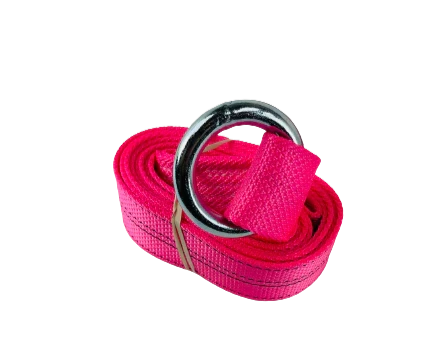 CT-2X10OR-DW Diamond Weave Lasso Strap with O-Ring, 2" x 10', 3,333 lbs Load Capacity SAFE 'N SECURE LLC