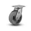4" x 2" Stainless HD Nylon Glass Filled Roller Bearing Caster with 4" x 4.5" Plate - Heavy-Duty Durability for Industrial Applications | Model D4.04109.839 DT SS WB29 colson-header1