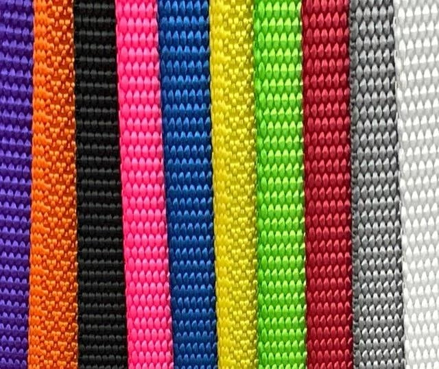 2" x 12' Ratchet Endless Strap - Heavy Duty Polyester Webbing, Wide Handle Ratchet CasterHQ