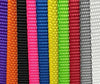 2" x 12' Ratchet Endless Strap - Heavy Duty Polyester Webbing, Wide Handle Ratchet CasterHQ