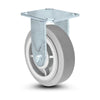 6x2 Stainless Steel Kingpinless Rigid Caster - Non-Marking, Quiet, Maintenance-Free, 600 lbs Capacity