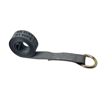 TOW-120WDR-DW - 2" x 10' Lasso Strap w/ Wire D-Ring-BEST: High Load Capacity Towing Equipment for Heavy-Duty Tasks SAFE 'N SECURE LLC