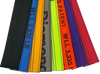 2" x 24" Towing V Bridle with 15" Forged J Hook - Heavy-Duty Tow Strap, 3,333 lbs Load Capacity | TOW-2X24BRIDLE-DW SAFE 'N SECURE LLC